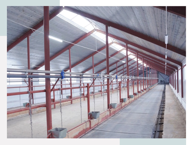 Строительство коровников в Слободской от 618 руб.