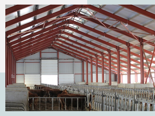 Строительство коровников в Слободской