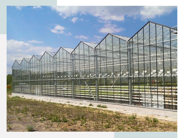 Строительство теплиц в Слободской от 618 руб. за м²