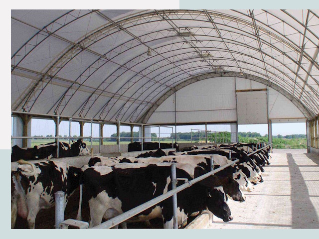 Тентовые коровники в Слободской